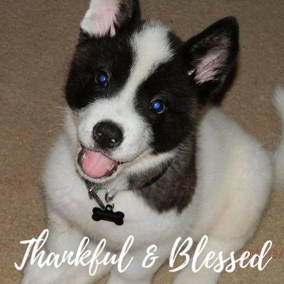 Meet your Posher, Mindy - Picture 1 of 1